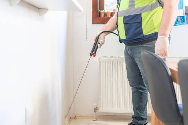 Best Termite Control Services  in Glen Dale, WV